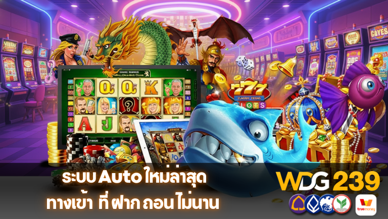 wdg239 ทางเข้า